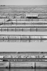 Monochrome image of the transport trolley in Secovlje Saltpans