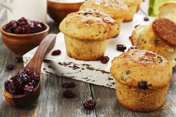 Muffins with dried cranberries
