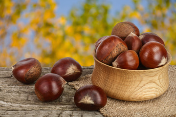 Obraz premium chestnut in bowl on the old wooden table with blurred garden background