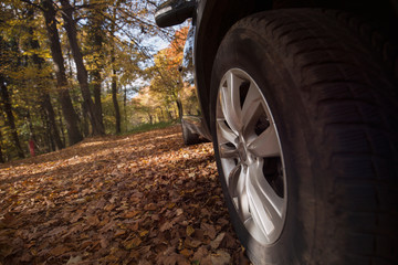 Fototapeta na wymiar Picture of wheel of car parked in forest
