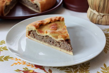 piece of fresh home-made meat pie