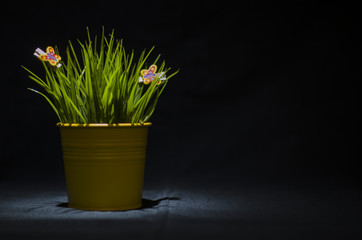 green grass in a yellow bucket