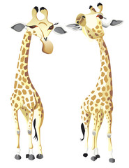 deux giraffes se regardant