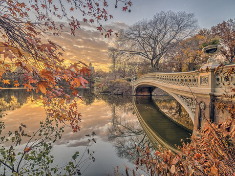 Bow Bridge Central Park In Autumn