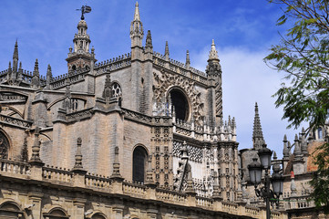Fototapeta na wymiar Catedral de Santa María de la Sede- Cathedral of Saint Mary of the See. Cathedral of Seville 