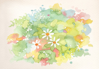 Meadow watercolor camomile