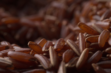 Red rice