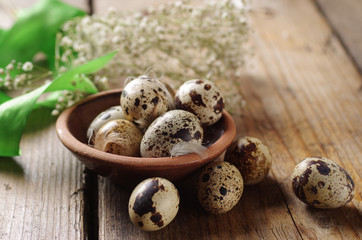 Raw quail eggs i