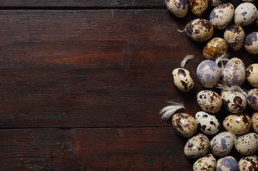 Obraz na płótnie Canvas quail eggs