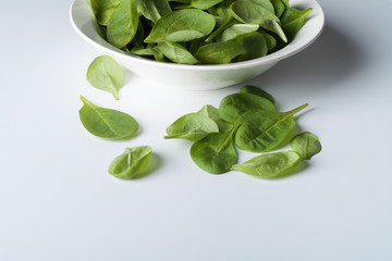 Spinach on a white background