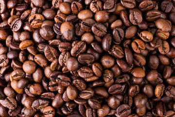 Fried Coffee beans on the white background