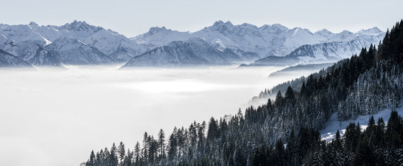 Forested mountain slope and mountain range in low lying valley fog with silhouettes of evergreen...