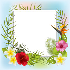 Tropical background. Flowers. Exotic plants. Palm leaves. Frame. Vector background. Plumeria. Hibiscus.
