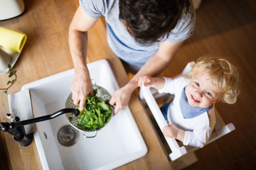 Young father with a toddler boy cooking.