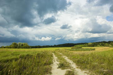 Fototapeta na wymiar Country road, meadows and cloudy sky