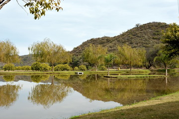 reflection lake nature