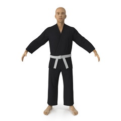 Karate fighter in black kimono isolated on white. 3D illustration