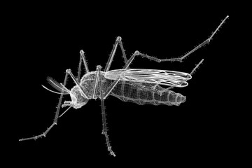 mosquito in wire carcass