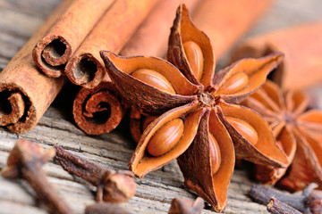 Anise star with cinnamon sticks and cloves