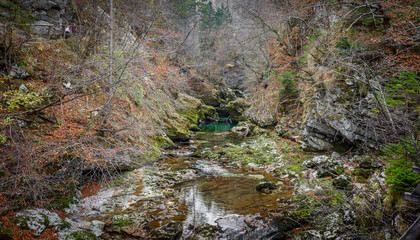 Soteska Vintgar, The Vintgar Gorge or Bled Gorge in Slovenia.