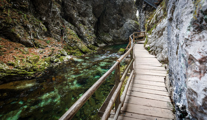 Fototapeta na wymiar Soteska Vintgar, The Vintgar Gorge or Bled Gorge in Slovenia.
