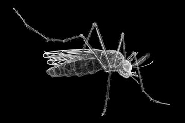 mosquito in wire carcass