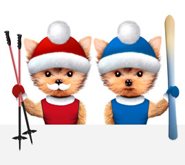 Funny Dogs wearing hat. Christmas concept