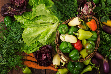 Assortment of vegetables and green herbs. Market. Vegetables in a basket on a dark background