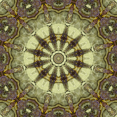 abstrakt fraktal orientalisch mandala illustration