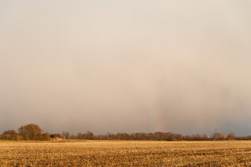 Fototapeta premium Wolken im Winter