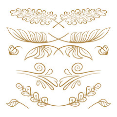 Vector hand drawn floral elements set.