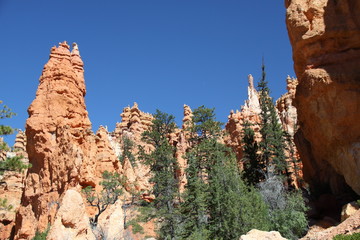 Naklejka premium Beautiful Landscape of Bryce Canyon - Utah - USA 