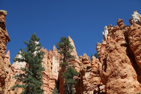 Beautiful Landscape of Bryce Canyon - Utah - USA  