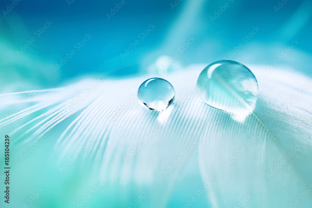 Poster white light airy soft bird feather with transparent fresh drops of water on turquoise blue backgroun