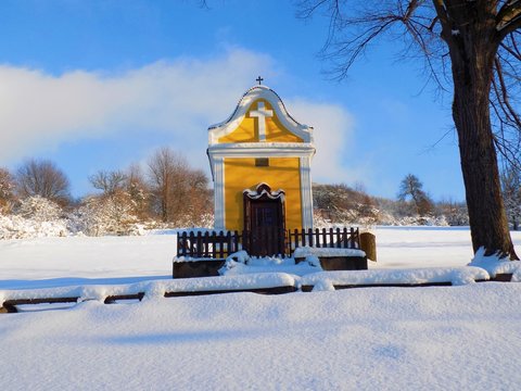 Chapple in winter nature
