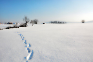 Winter landscape with snow