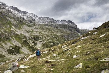 Fototapeta premium Landschaft in Kärnten