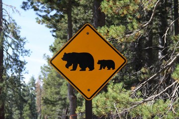 Crossing Bear Sign in Yosemite NP - California - USA