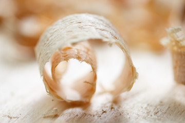 Wood shavings with shallow depth of field.