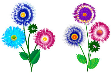 Beautiful set of different colorful asters of different colors for creating decor or postcards, exclusive design, vector graphics