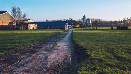 Driveway to farm in rural landscape. Lit by low autumn sunlight.