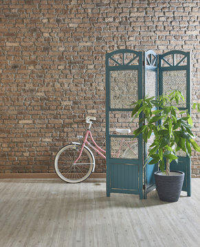 blue screen style interior concept modern pink bike style vase of . plant