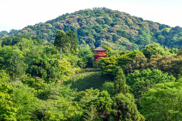 Pagoda at the kiyomizu-dera temple, Kyoto, Japan