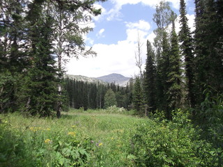 Kuznetsk Alatau, podnebesnye zubja.
