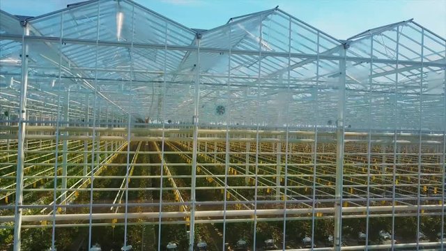 Aerial video of greenhouses