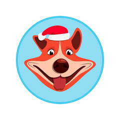 Dog in Santa Claus hat smiling