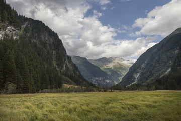 Obraz premium Landschaft in Kärnten