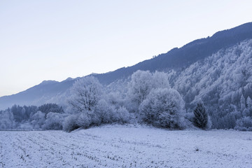 Landschaft in Kärnten
