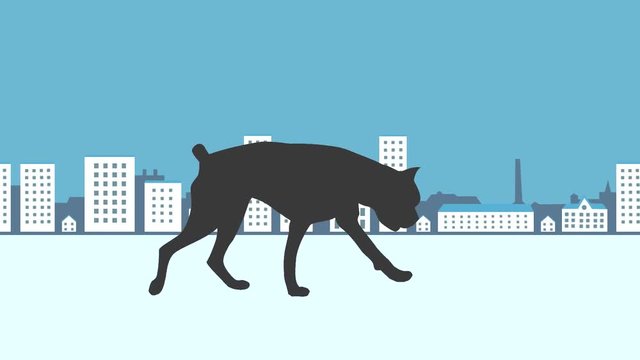Dog walking in the city, animation
