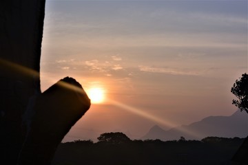 sun rays in the morning